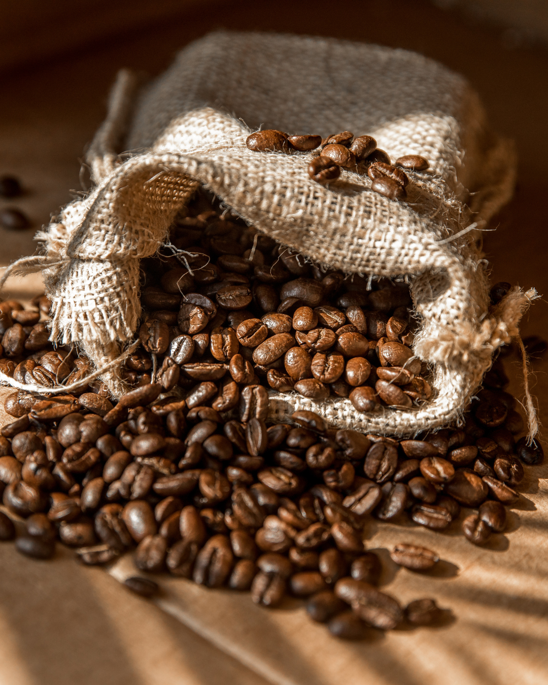 Café en grains 100 % Arabica – Sachet 250 g ou Lot de 3 avec livraison gratuite